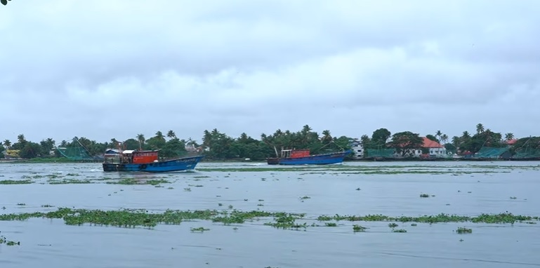 Kochi Backwater