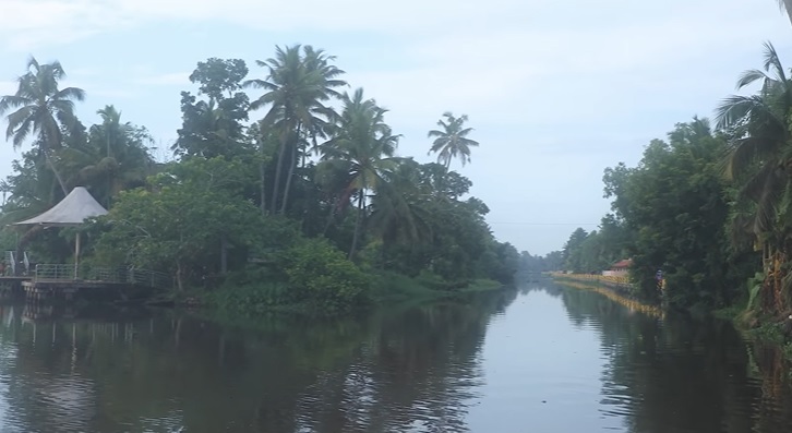 kuttanad backwater